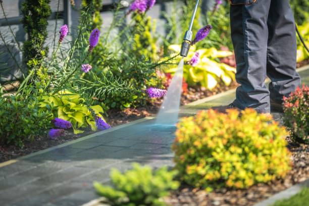 Reliable Ahoskie, NC  Pressure Washing Services Solutions