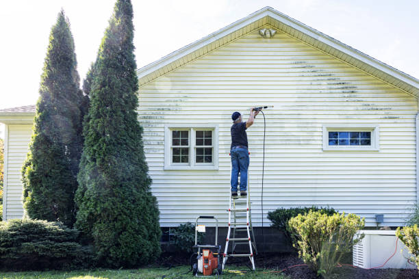 Best Spring Cleaning  in Ahoskie, NC